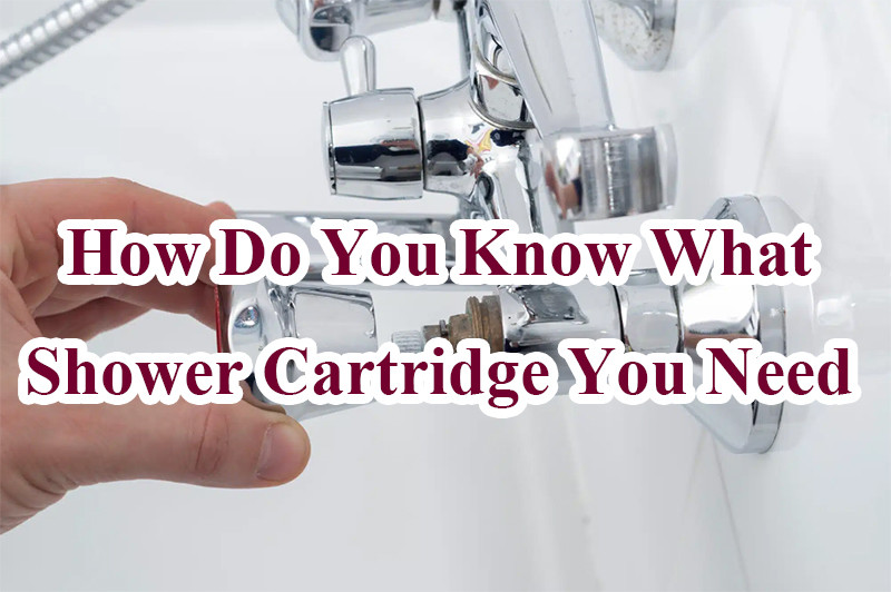 How Do You Know What Shower Cartridge You Need 1 How Do You Know What Shower Cartridge You Need - Blog - 1