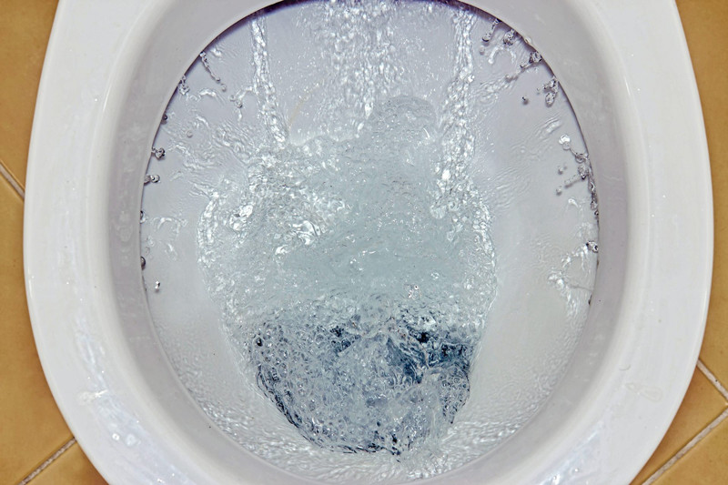 Why does My Toilet Make A Hissing Sound after Flushing 1 Why does My Toilet Make A Hissing Sound after Flushing - Blog - 1