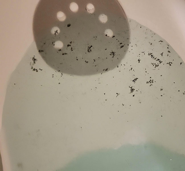 Why Is Black Substance Emerging From Bathtub Faucets - Blog - 1
