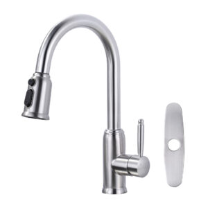 Single Handle Pull Out Sprayer Kitchen Faucet Included Deckplate in Brushed Nickel