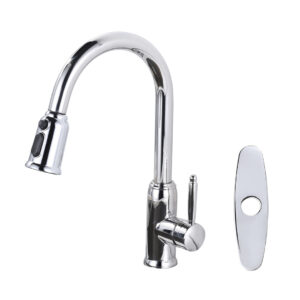 Single Handle Pull Out Sprayer Kitchen Faucet Included Deckplate in Chrome