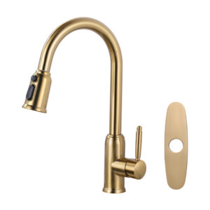 Single Handle Pull Out Sprayer Kitchen Faucet Included Deckplate in Brushed Gold