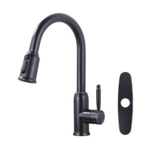 Single Handle Pull Out Sprayer Kitchen Faucet Included Deckplate in Oil Rubbed Bronze