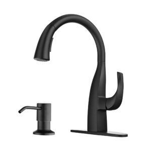 Single Handle Gooseneck Pull Down Sprayer Kitchen Faucet Stainless Steel with Soap Dispenser in Matte Black