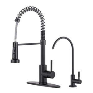 19 in. 360 Spout Swivel Pull Out Sprayer Kitchen Faucet with Water Filter Faucet in Matte Black