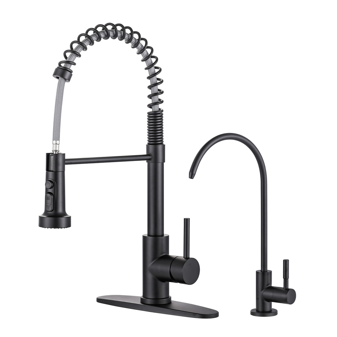 19 in. 360 Spout Swivel Pull Out Sprayer Kitchen Faucet with Water Filter Faucet in Matte Black