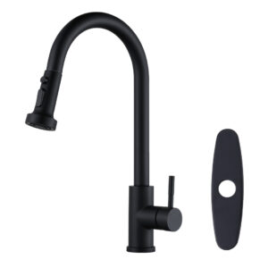 Single-Handle High Arc Sink Faucet with Pull Down Sprayer in Matte Black