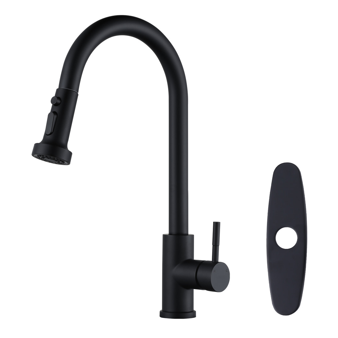 Single-Handle High Arc Sink Faucet with Pull Down Sprayer in Matte Black