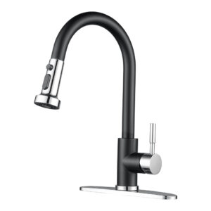 Single-Handle High Arc Sink Faucet with Pull Down Sprayer in Chrome and Matte Black
