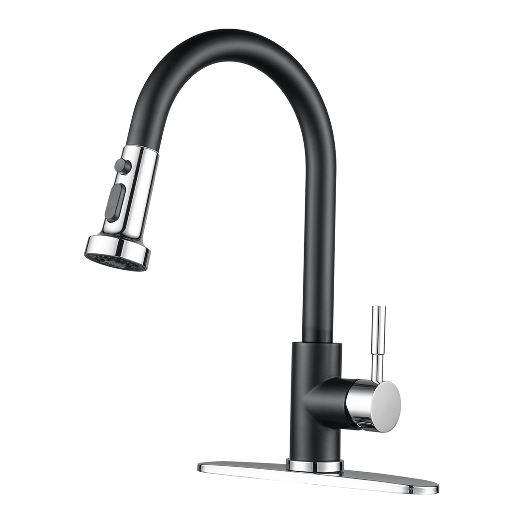 Single-Handle High Arc Sink Faucet with Pull Down Sprayer in Chrome and Matte Black