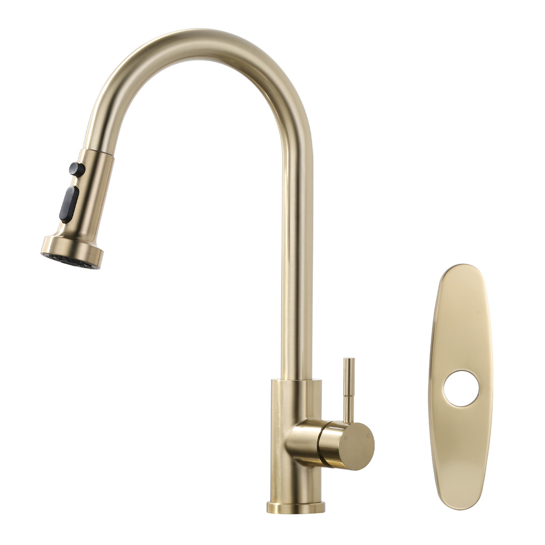 Single-Handle High Arc Sink Faucet with Pull Down Sprayer in Gold