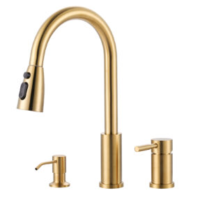 Single Handle Pull Down Sprayer Kitchen Faucet with Spray, Pull Out Spray Wand in Brushed Gold