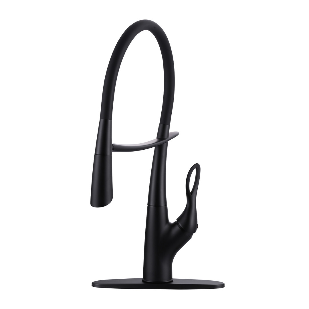 Single Handle Pull Down Sprayer Kitchen Faucet with Deckplate in Matte Black